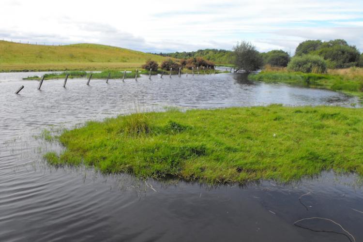 Hafren Water: Flood Risk management